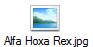 Alfa Hoxa Rex.jpg