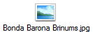 Bonda Barona Brinums.jpg