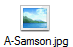 A-Samson.jpg